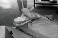 B010100003