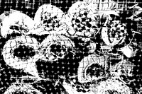 B01010000441